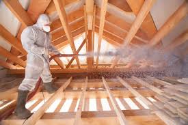 Best Eco-Friendly or Green Insulation Solutions  in Mesquite, NV